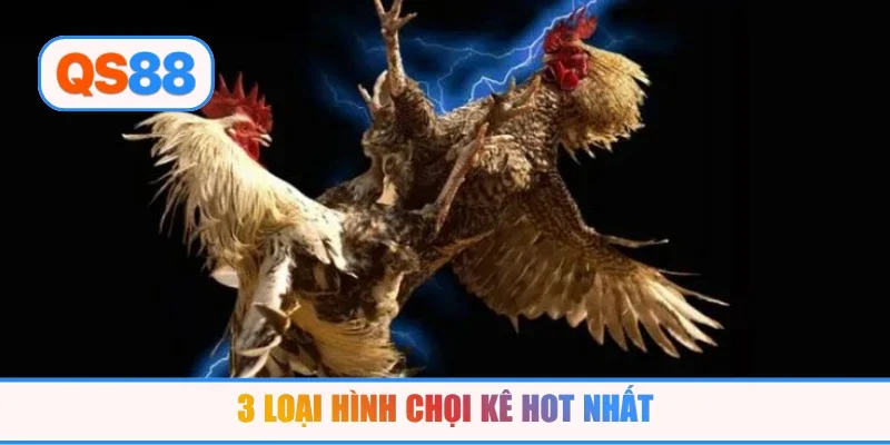 3 loại hình chọi kê hot nhất