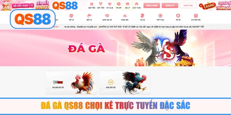 Đá gà QS88 chọi kê trực tuyến đặc sắc